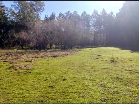 Ruta Provincial 1 KM 19 100