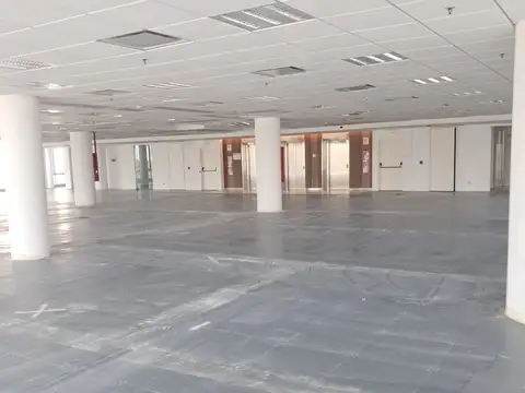 Oficina en Alquiler 16 años