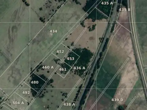 Ruta Provincial 29 8000