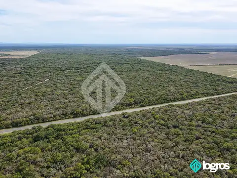 Campo en venta de 6600 has sobre ruta 5, Martínez del Tineo, Salta