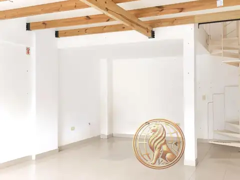 De las medusas al 1300