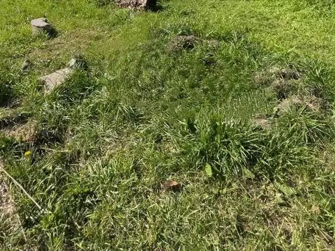 Terreno en Venta de 250,0 m2