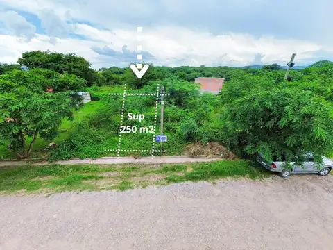 Terreno en Venta 25  mts Fondo
