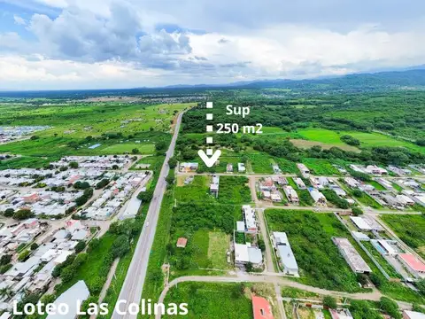 Terreno en Venta de 250,0 m2