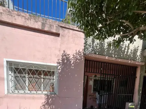 Campichuelo 6600