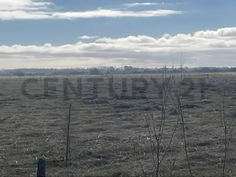 VENTA DE CAMPO APTO PARA MÚLTIPLES USOS