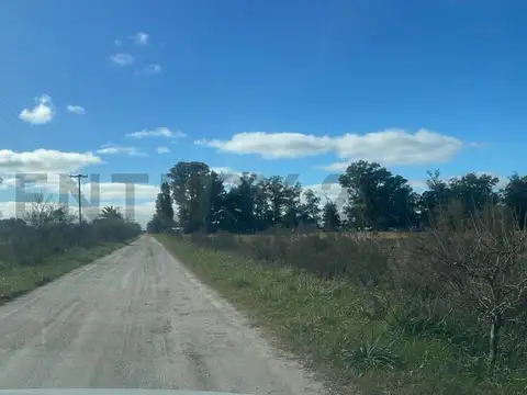 VENTA DE CAMPO APTO PARA MÚLTIPLES USOS
