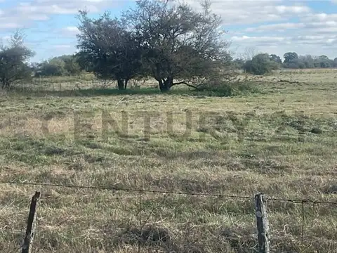 VENTA DE CAMPO APTO PARA MÚLTIPLES USOS