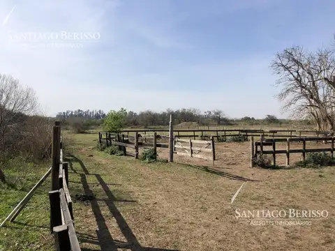 Chacra en Rio Lujan
