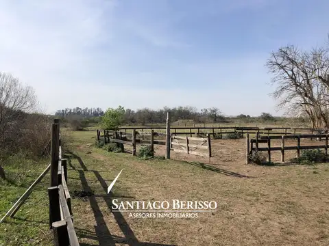 Chacra en Rio Lujan