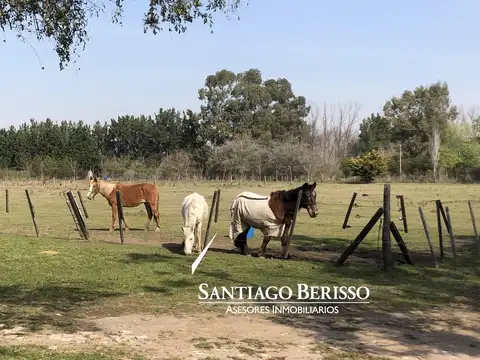 Chacra en Rio Lujan