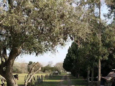 Lomas de Río Luján