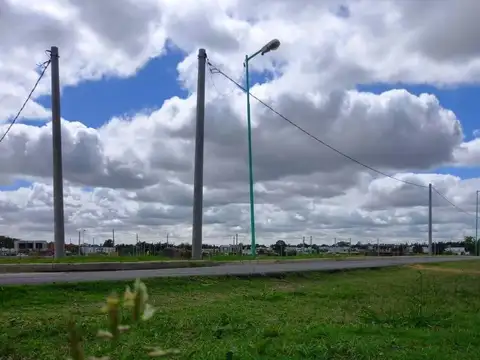 504 Y 139- 14 X 30-Mb Goonet-La Plata