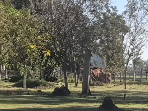 Brisas del Sud