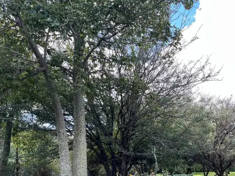 Terreno en Venta en Mendiolaza, USD 57.500