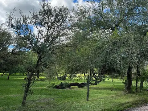 Terreno en Venta 25  mts Frente