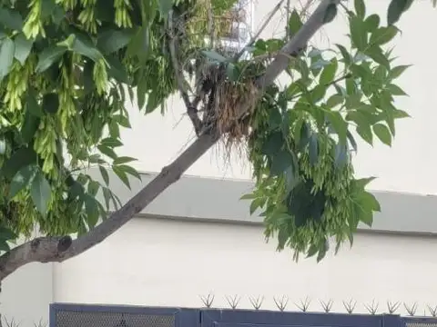 Alquiler Departamento Un Dormitorio - Cipolletti