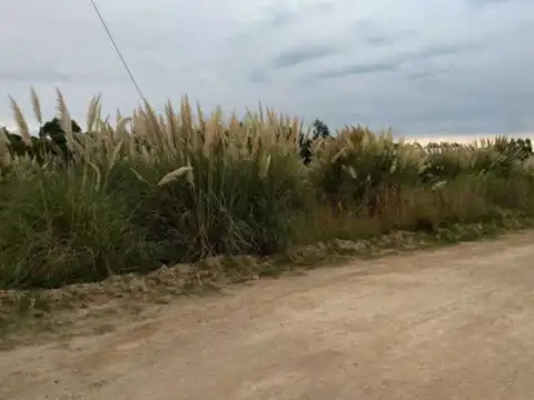 Terreno en venta - 1.007mts2 - Balneario Marisol, Coronel Dorrego