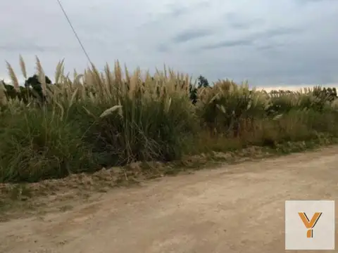 Terreno en venta - 1.007mts2 - Balneario Marisol, Coronel Dorrego