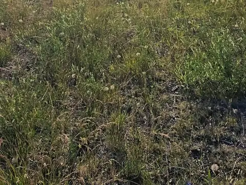 VENTA CHACRA CON CASA EN SARMIENTO