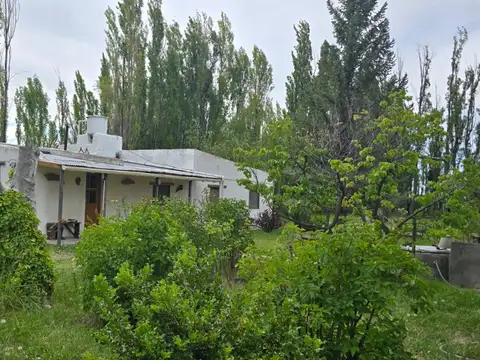 calle sin nombre 100