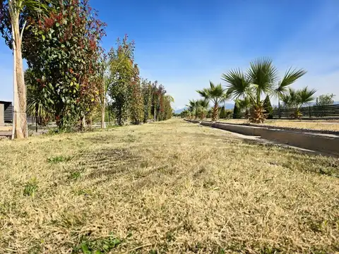 Terreno en Venta en Cruz de Piedra, USD 21.000