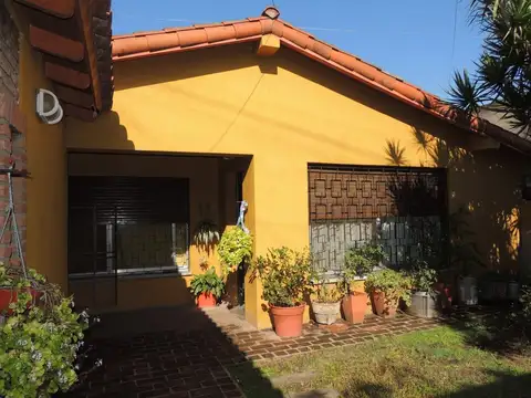 Palmar 100