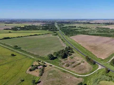 Ruta 11