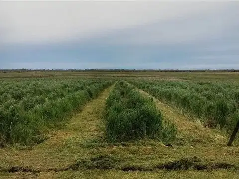 Campo en venta de 156m2 ubicado en San Ramón