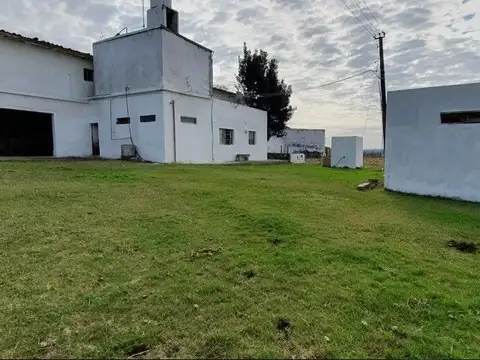 San