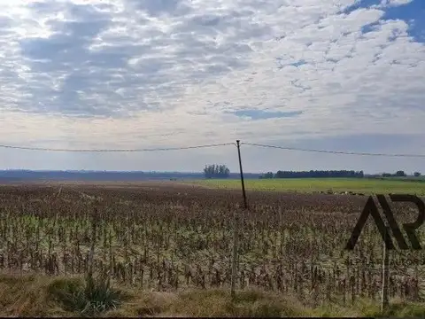 Campo en venta de 156m2 ubicado en San Ramón