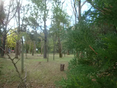 94 e/ 13 y 13bis (180010)