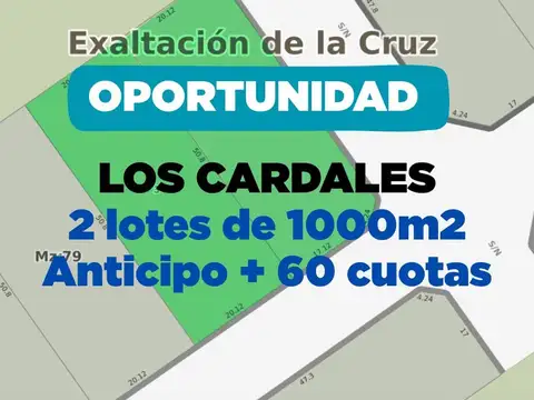 LOTE VENTA LOS CARDALES (FINANCIABLE A 5 AÑOS) 