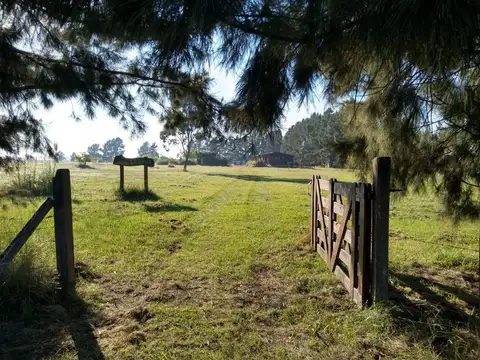 Jose Marmol - Campo La Brisa 2500