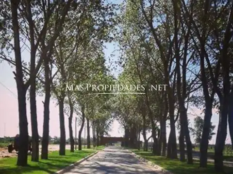 Terreno en Venta en Canning, USD 50.000