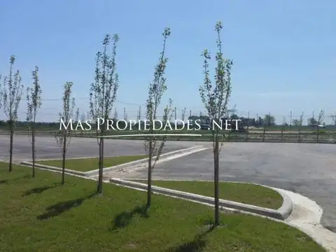 Terreno en Venta 19  mts Fondo