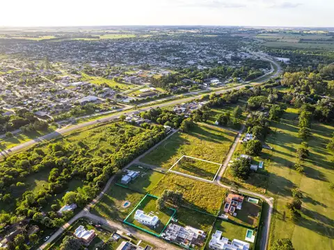 Lote Altos del Golf  - Nuevo precio 