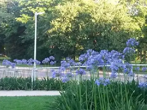 Casa  en Venta en Monet Barrio Privado, Campana, G.B.A. Zona Norte