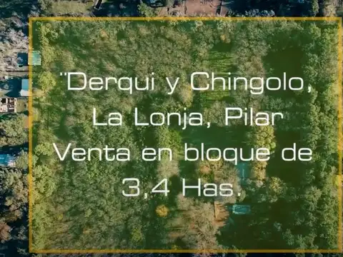 VENTA FRACCIÓN 3,4 Hect Pilar La Lonja OPORTUNIDAD