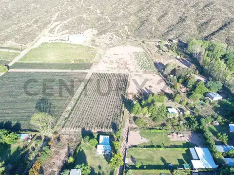 Venta de Lote en calle Terrada "PERDRIEL, Lujan de Cuyo"