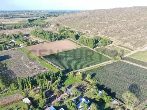 Terreno en Venta en Lujan de Cuyo, USD 39.000