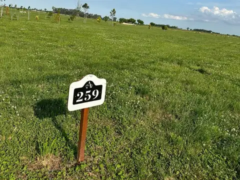 Terreno en Venta en San Vicente, USD 60.000