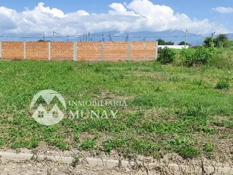 Terreno en Venta en Zona Centro, USD 14.000