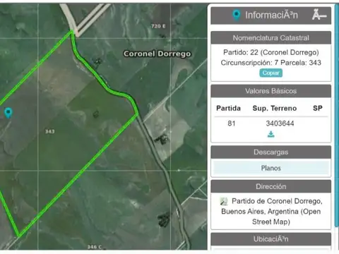 Campo Ganadero - Cnel Dorrego