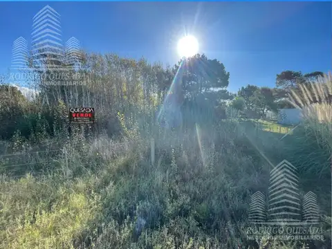 Terreno en Venta 34  mts Fondo
