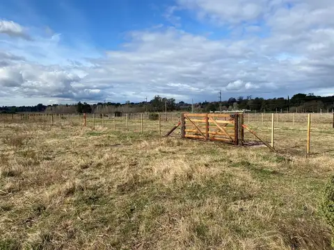 Terreno en Venta en Cerro de los Leones, USD 47.000