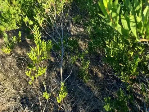 Terreno en Venta en Barrio Senderos 4, USD 38.000