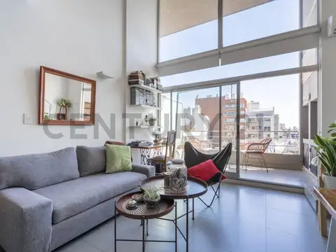 Franklin Delano Roosevelt 1900, Piso 7