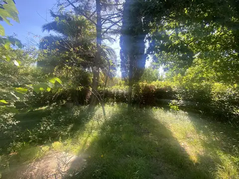 Casa en Villa Elisa a reciclar o demoler sobre dos amplios lotes.