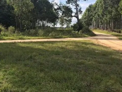 Terreno en Venta en Colonia Ayui Grande, Concordia